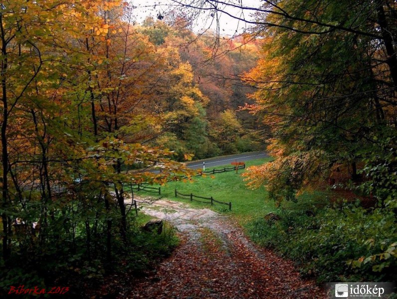 őszi utak