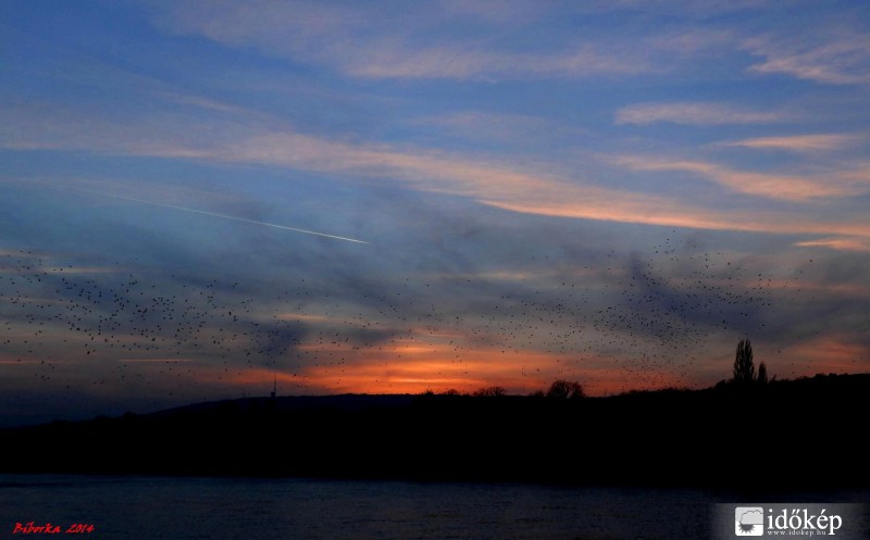 tegnap délutáni madárfelhő 