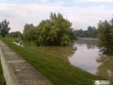 Árad a Duna Pünkösdfürdőnél