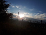 Tagyon