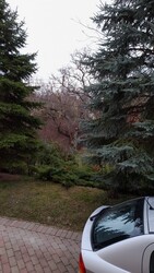 Balatonalmádi