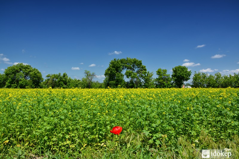 Budakalász