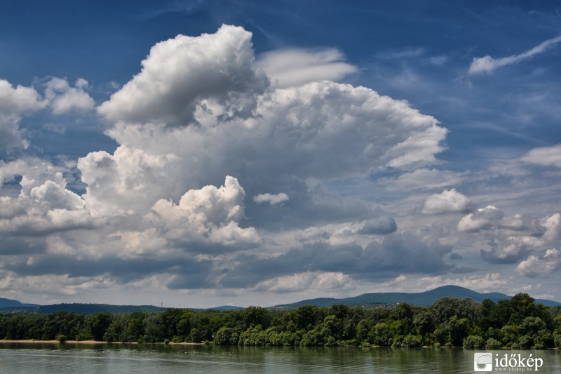 Kis üllő