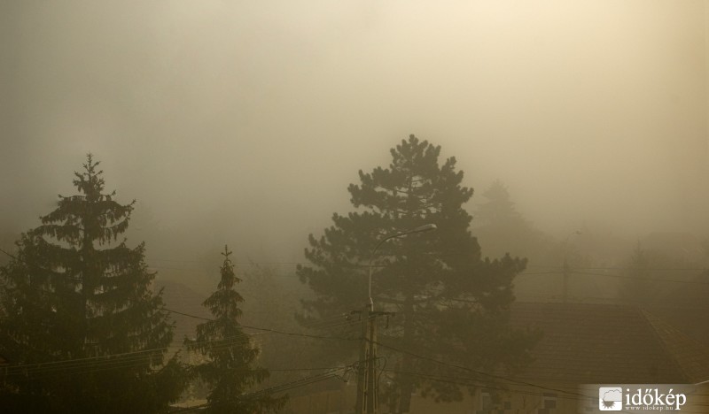 Enyhe köd