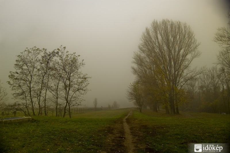 Dunapart mellett