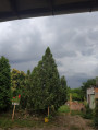 Lőrinci