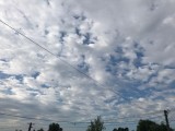 Sülysáp