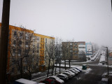 Komló