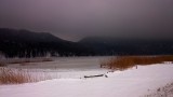 Froggensee