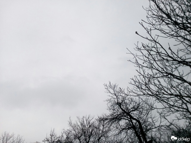 Mór