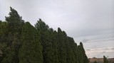 Kiskunlacháza