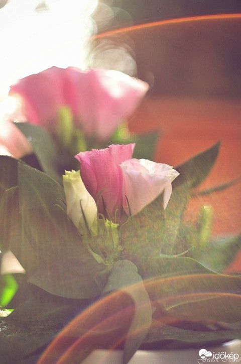 Budapest IV.ker - Újpest