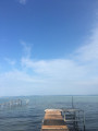 Balatonvilágos