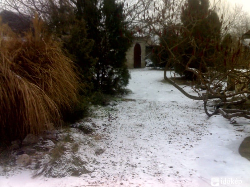 2012 Jan 17- leesett hó Bajsa