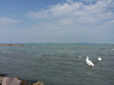 Siófok