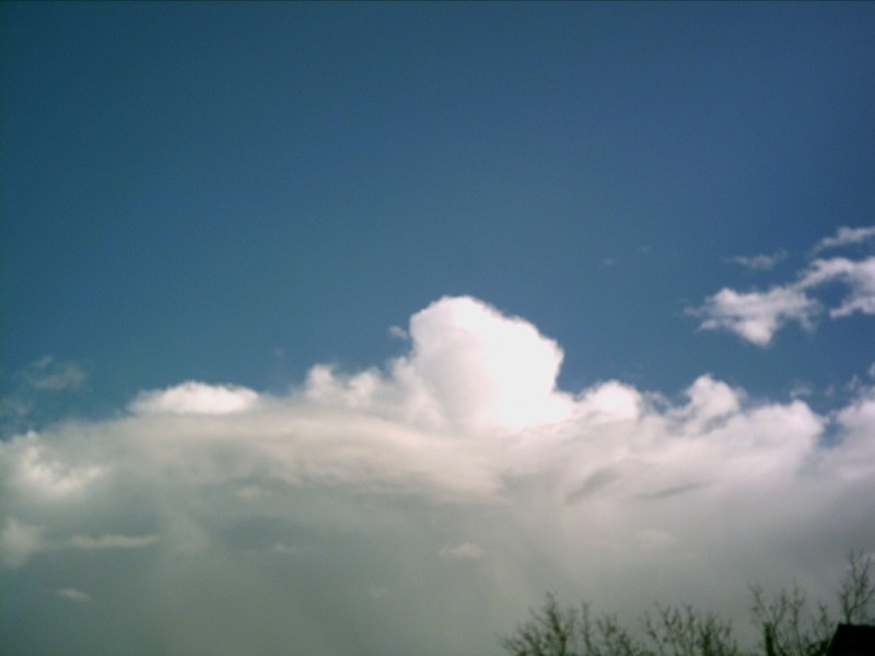 2009.03.10