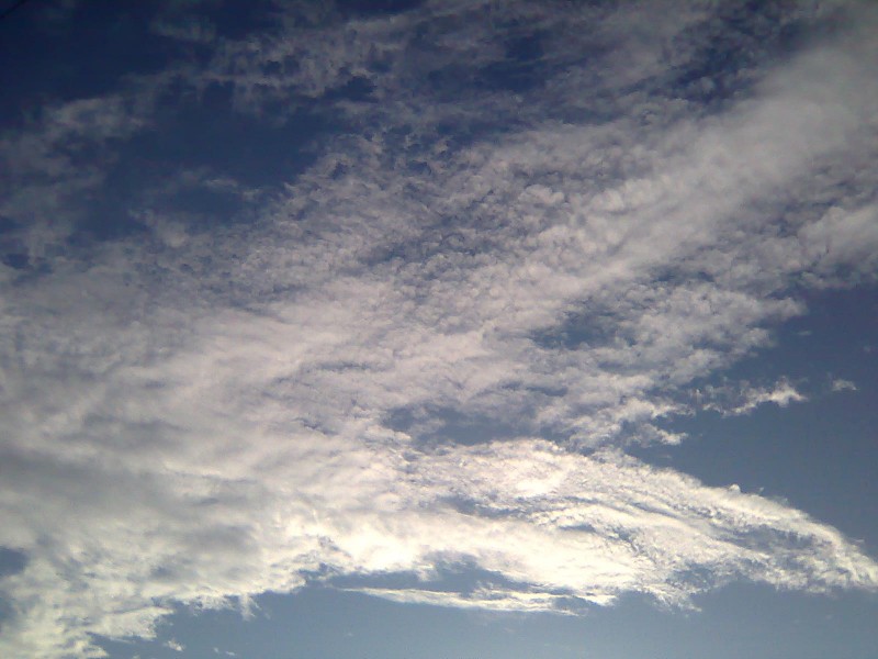 2009.04.17
