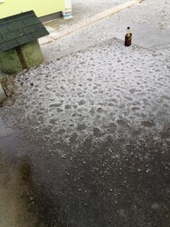 Gyöngyöshalász