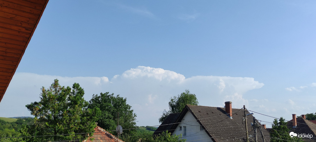Rád