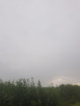 Harsány