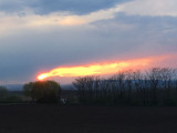 Sárkeszi