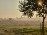 Outside, in the meadows