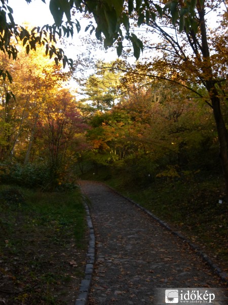 The road...