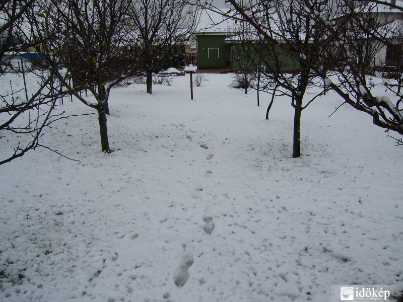 Első hó 2010.