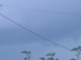 Kékcse