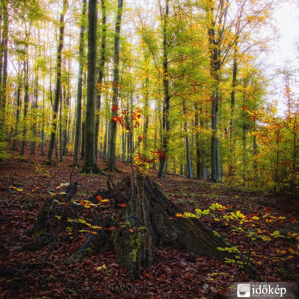 Lipót folyásnál...