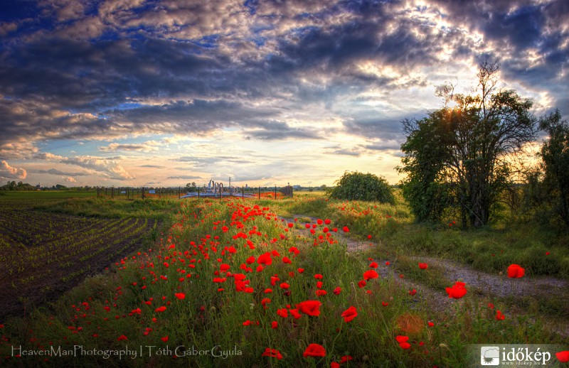Most van szezonja :)