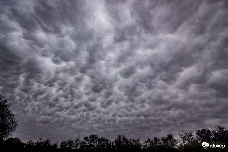 Altocumulus statiformis opacus mamma