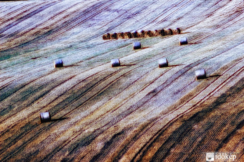 Bálák a hullámok hátán