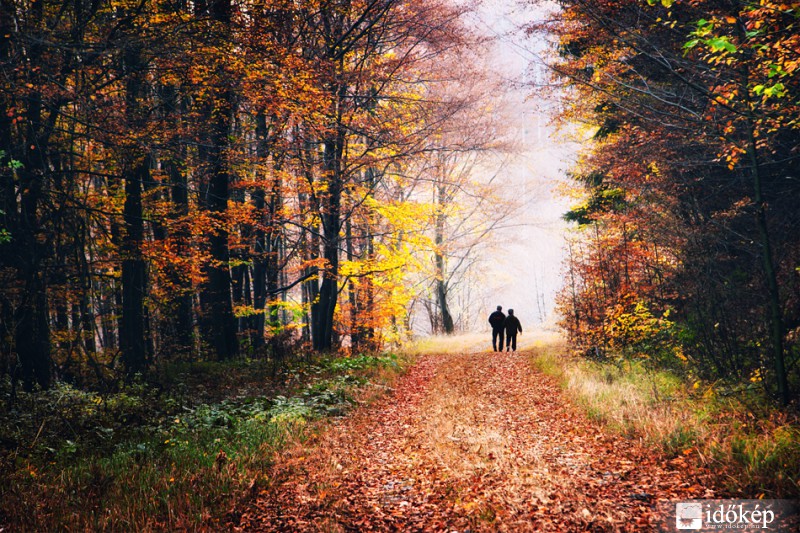 Őszi séta