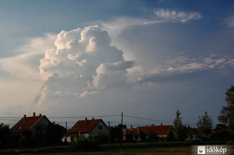 Növekvőben I.