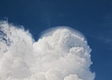 Cumulus congestus pileus