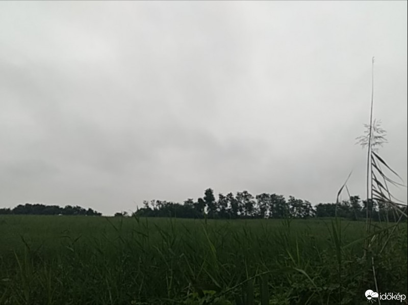 Óhíd