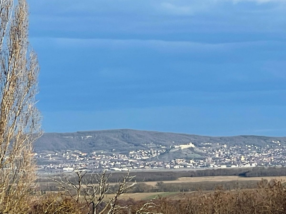 Kisgörbő