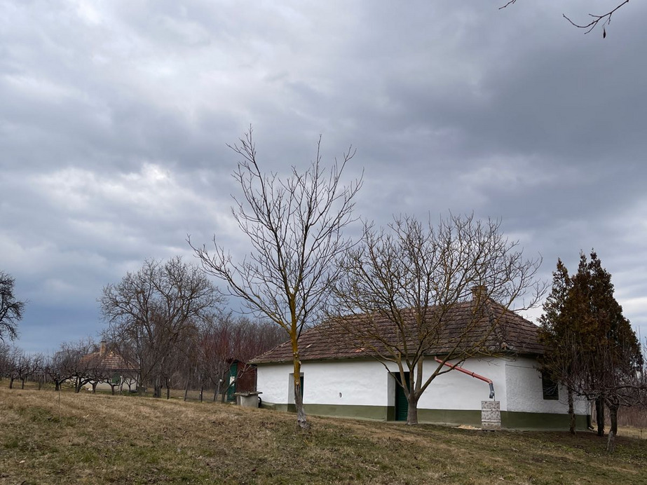 Kisgörbő