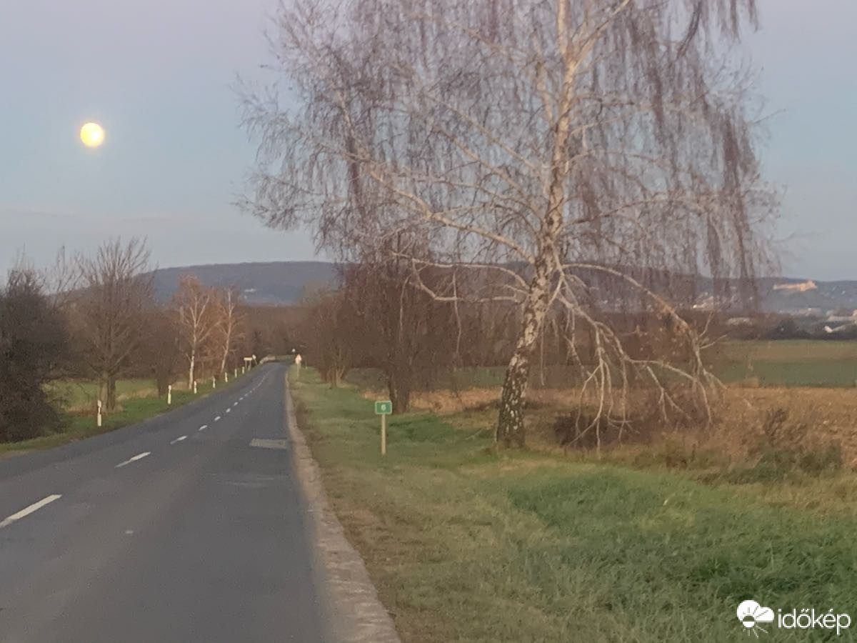 Mihályfa