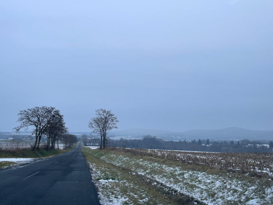 Kisgörbő
