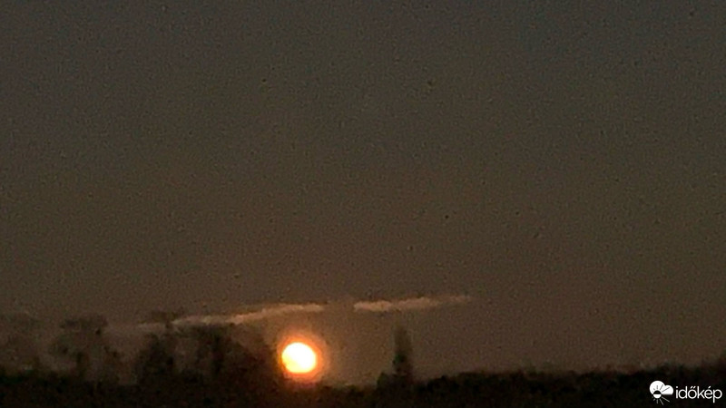 Kisgörbő