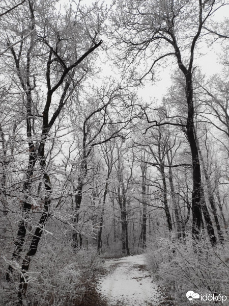 Budapest XII.ker - Frankhegy