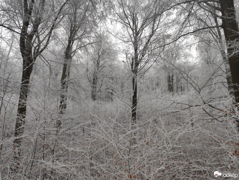 Budapest XII.ker - Frankhegy