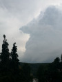 Komló