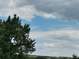Litér