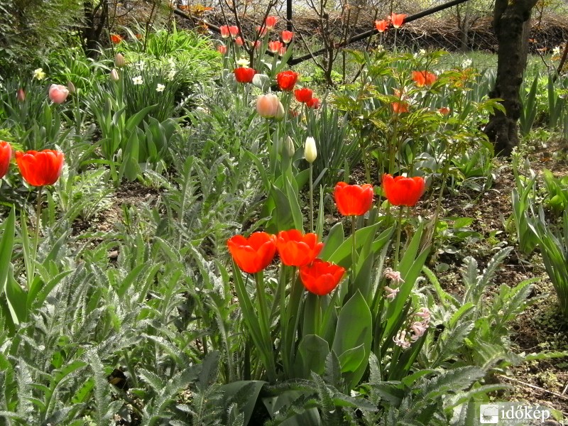 Tavasz van... gyönyörű! :)