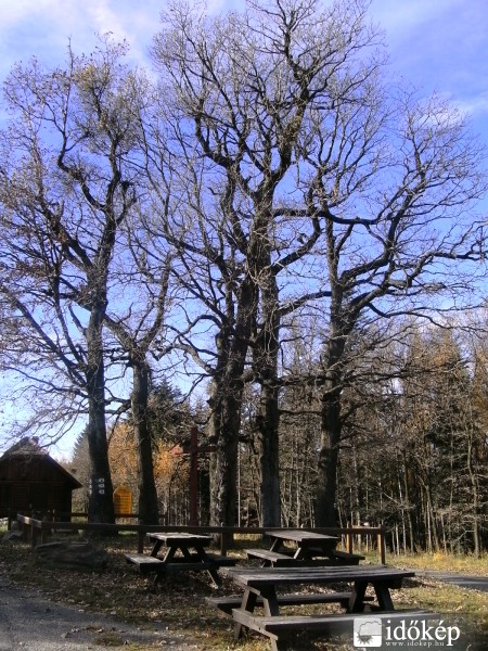 A fáradt vándorok pihenője