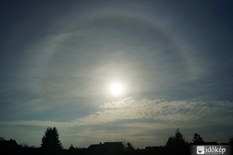 Szombat délutáni haló 