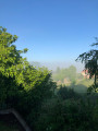 Dudar